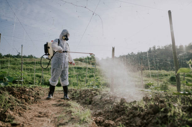 Best Mosquito Control Services  in New Carlisle, IN