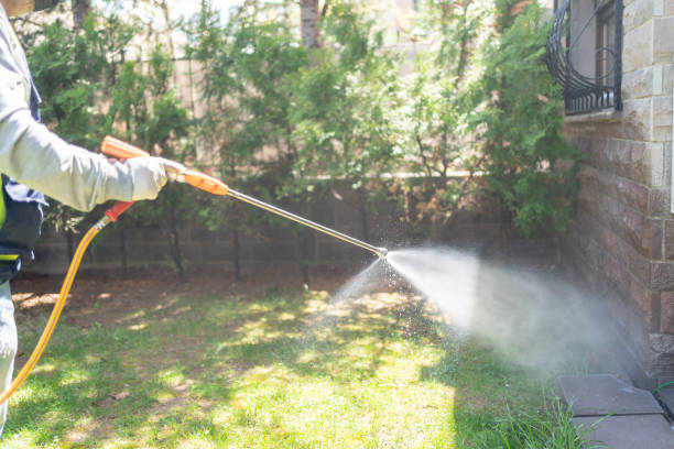 Wasp Removal Services in New Carlisle, IN