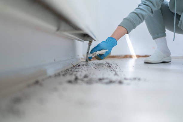 Reliable New Carlisle, IN Pest Control Solutions
