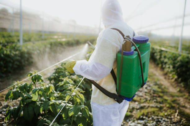 Best Pest Control Cost  in New Carlisle, IN